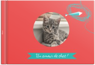 Album photo un amour de chat