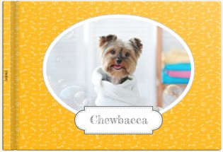 Album photo Mon Chien