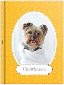 Album photo Mon Chien