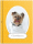 Album photo Mon Chien