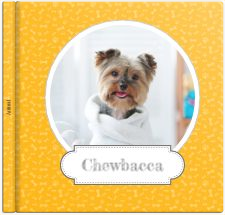 Album photo Mon Chien