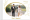 Album photo mariage Juif