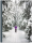 Album photo Hiver