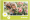 Album photo Printemps