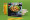 Livre photo Grand carré Couverture souple spirale métallique