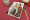 Livre photo Grand Portrait Couverture souple spirale métallique