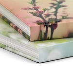 Couverture rigide illustrée mate
