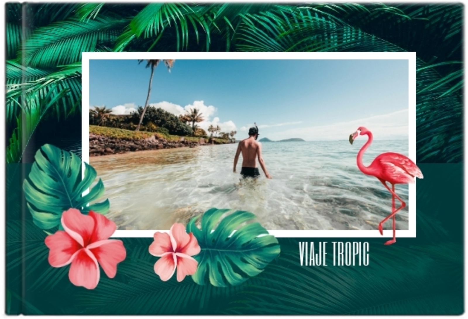Paraíso tropical
