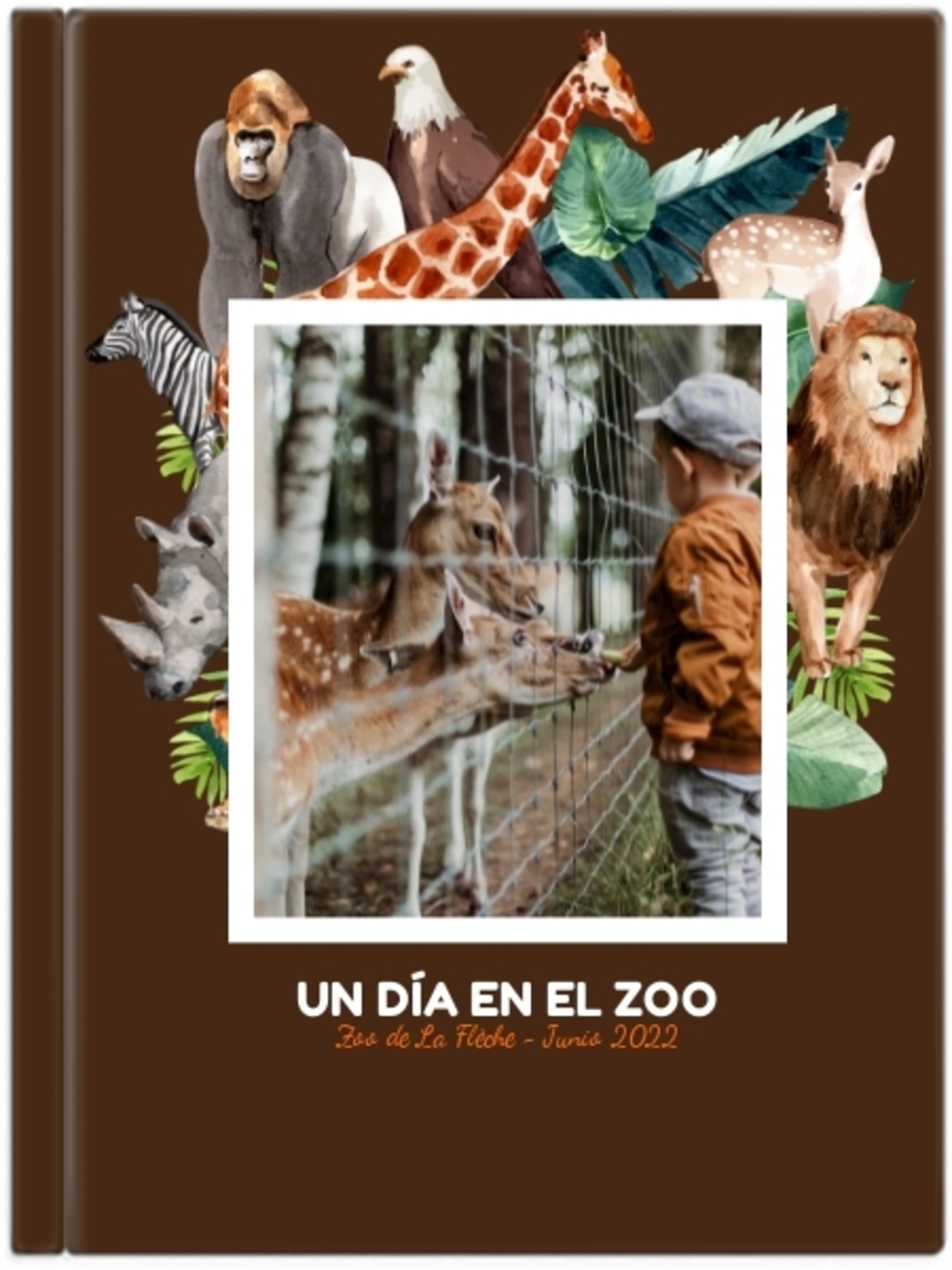 Paseo por el zoo