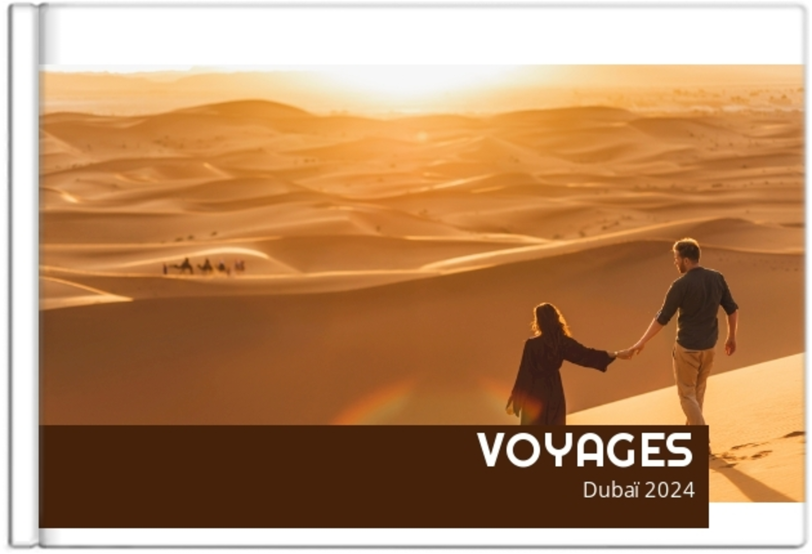 Voyages internationaux