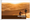 Voyages internationaux