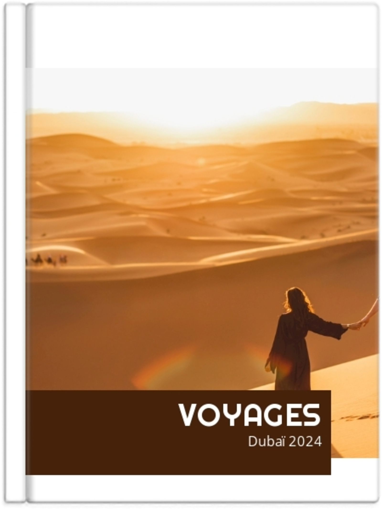 Voyages internationaux