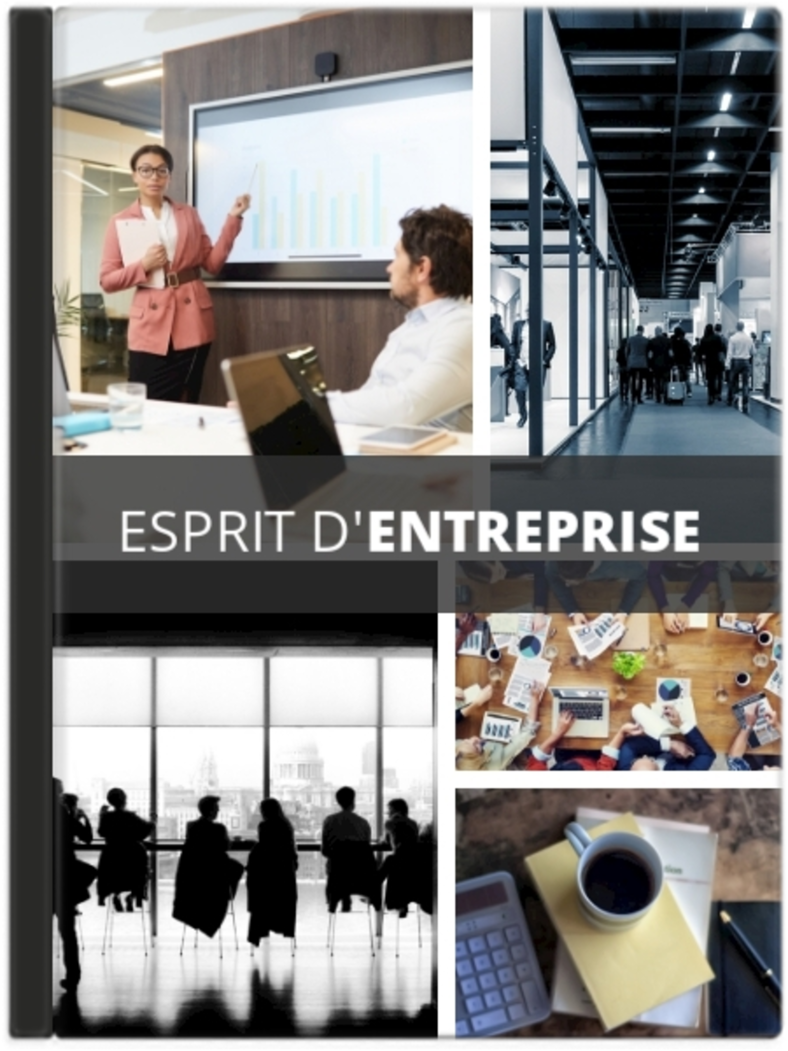 Esprit d’entreprise