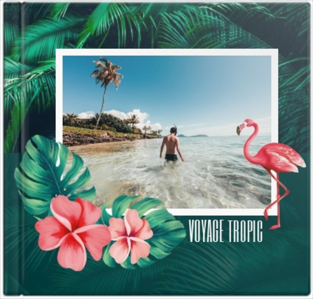 Paradis Tropical