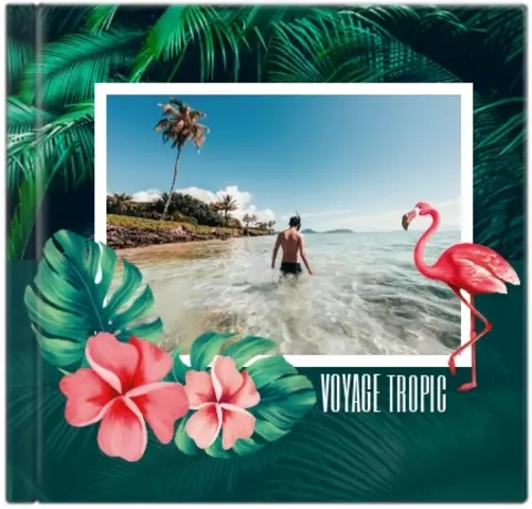 Album photo personnalisé Nos aventures Livre photo Album tropical avec  feuilles autocollantes Cadeau de mariage pour couple Album de lune de miel  à Hawaï -  France