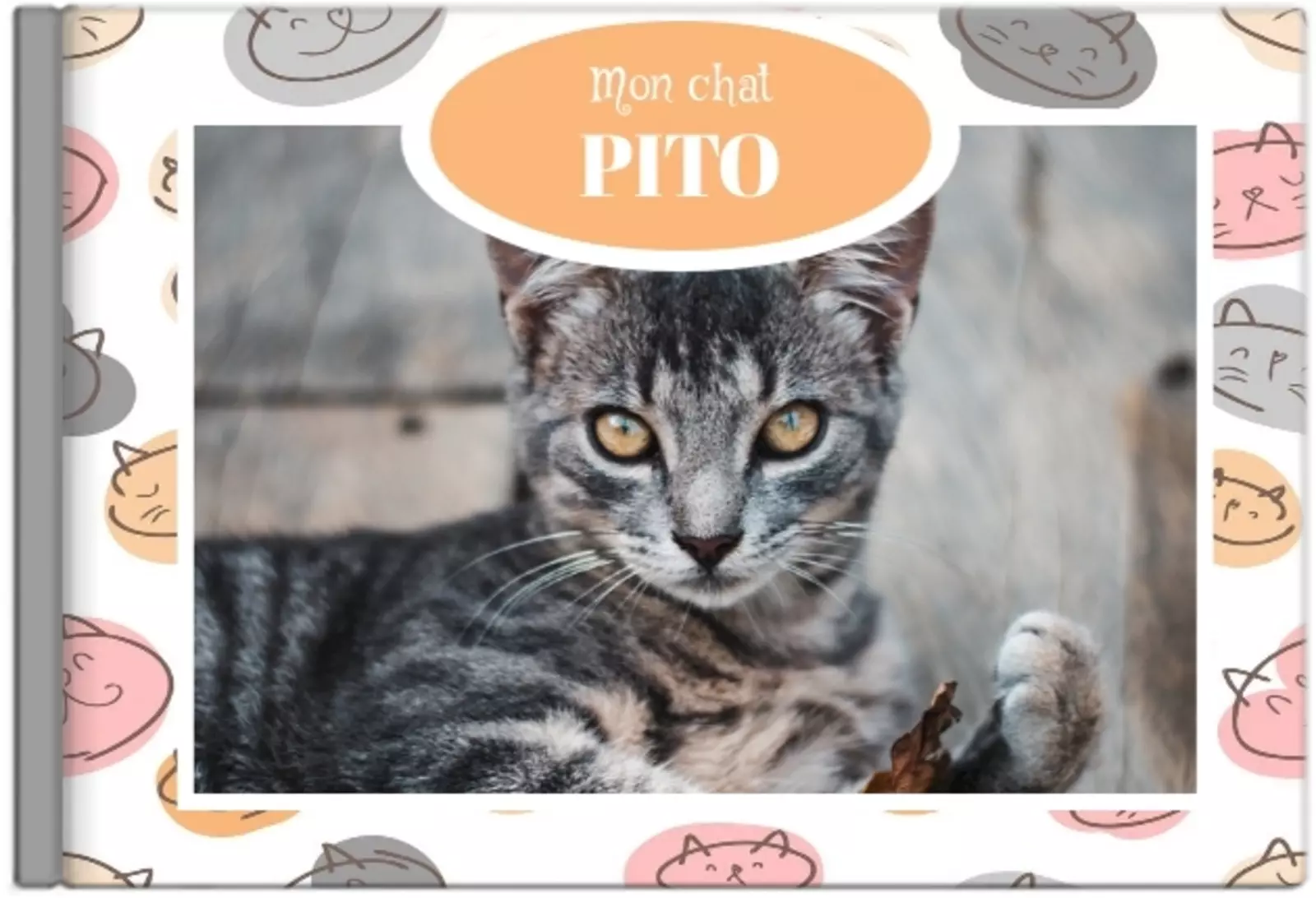 Chat-Rivari