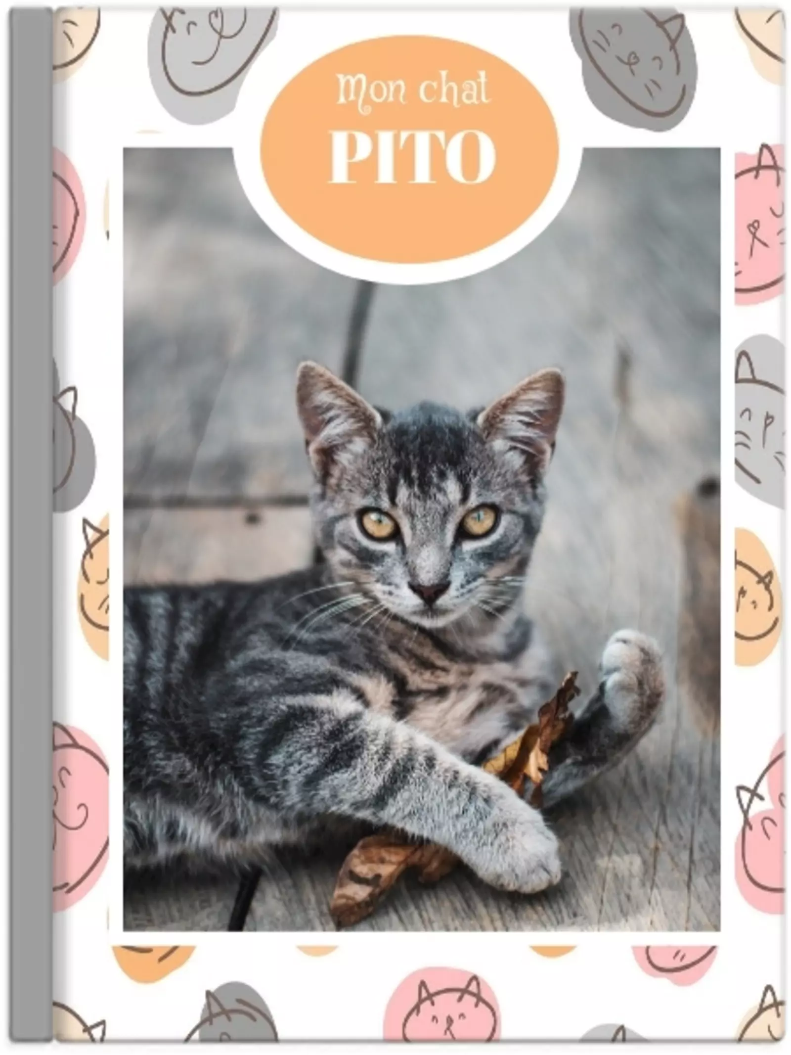 Chat-Rivari
