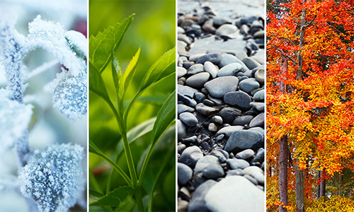 Couleurs photos