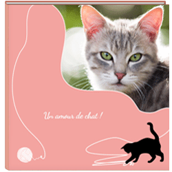 Album Photo Chat Aime Livre Photo Animaux Flexilivre