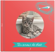  Album photo un amour de chat