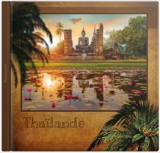 Album photo Livre photo Voyage Jungle