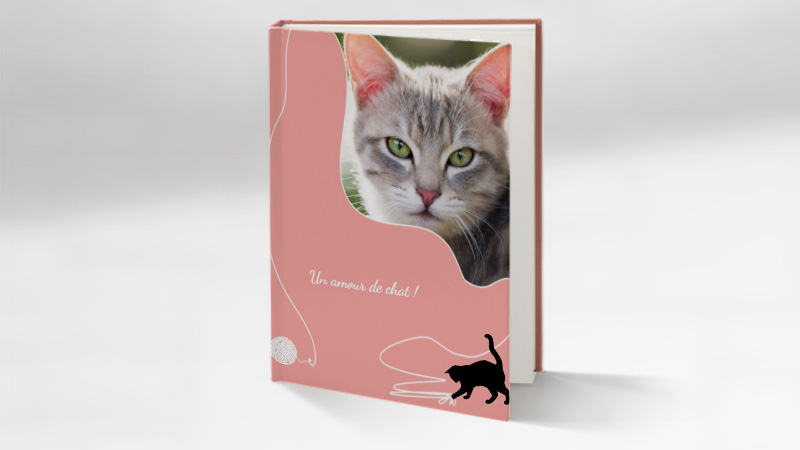 Album photo un amour de chat
