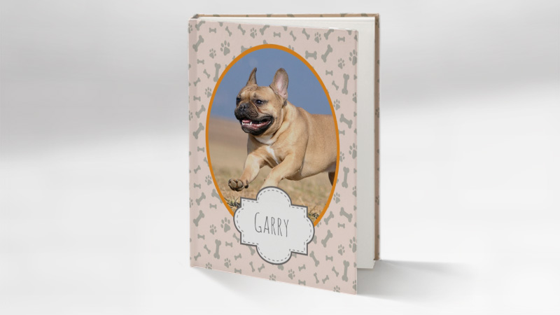 Album photo Mon Chien