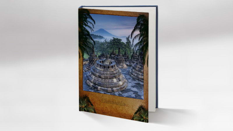 Album photo Jungle